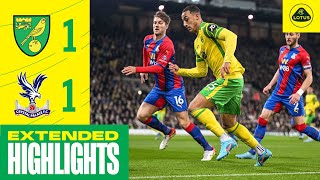 EXTENDED HIGHLIGHTS  Norwich City 11 Crystal Palace [upl. by Leclair]