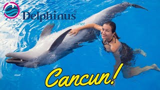 Swim with Dolphins  What to expect  Cancun Mexico  Delphinus [upl. by Fortunato901]