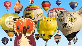 Hot Air Balloon Mass Ascent  Balloon Festival Barnstorf 2019 [upl. by Nosretep]