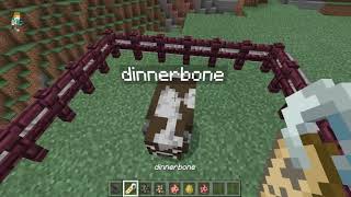 Minecraft Jeb and Dinnerbone glitch [upl. by Gerik]