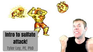 Intro to Sulfate Attack [upl. by Anaderol]