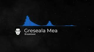 Greseala Mea Breakbeat [upl. by Latsyc]