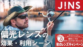 😎偏光サングラスの効果・有用な利用シーンの紹介【JINS 偏光レンズ追加料金0円期間限定】 [upl. by Sage]