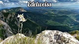 Edelweiss [upl. by Yleme626]