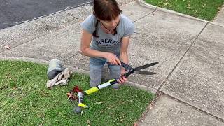 Hedge shears how to sharpen and clean garden tools [upl. by Sheya717]