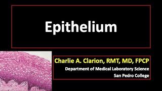 Epithelium [upl. by Leighland]