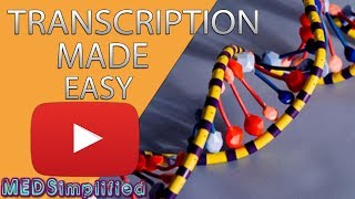 Transcription Made Easy From DNA to RNA 2019 [upl. by Jedediah]