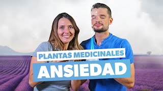 Cómo controlar la ansiedad con plantas naturales [upl. by Borgeson]