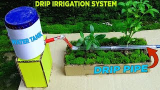 How to make a drip irrigation system working model [upl. by Roeser196]