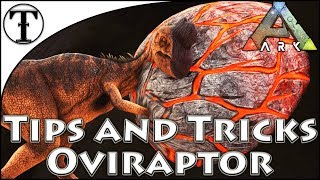 Fast Oviraptor Taming Guide  Ark  Survival Evolved Tips and Tricks [upl. by Marela]