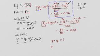 Testing HardyWeinberg equilibrium [upl. by Kato401]