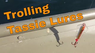 Trolling for Trout  Tassie Devil Lure  Spydro Fishing Camera [upl. by Boru]