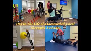 Essential Insights Before Becoming a Physical Therapist [upl. by Ailekat]