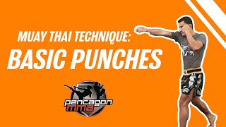 Muay Thai Technique  Basic Punches [upl. by Feigin547]