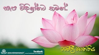 මෛත්‍රී ශාන්තිය  Ven Kiribathgoda Gnanananda Thero [upl. by Zeitler]