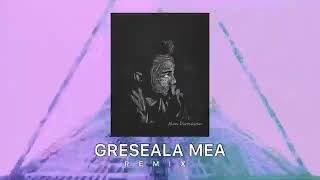 GRESEALA MEA REMIX ALAN DARMAWAN [upl. by Silvie827]