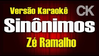 Zé Ramalho Sinônimos Karaokê [upl. by Elvin]