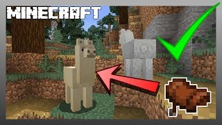 MINECRAFT  How to Get a Llama Saddle 1151 [upl. by Finnie963]