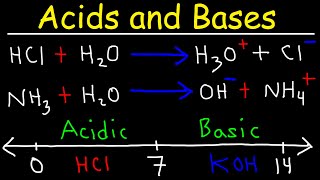 Acids and Bases  Basic Introduction  Chemistry [upl. by Jeggar]