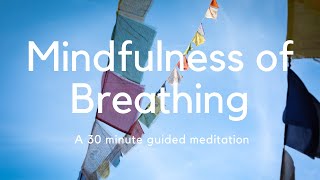 Mindfulness of Breathing  A guided meditation  Danayutta [upl. by Consuela]