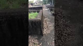 Nundah Historical Cemetery Tour amp Paranormal Spirit Talk [upl. by Brig185]