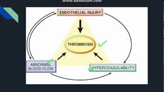 Thrombosis [upl. by Cornish]