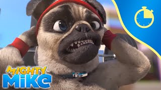 30 minutes of Mighty Mike 🐶⏲️  100 Sport Compilation  Mighty Mike [upl. by Kirstyn890]