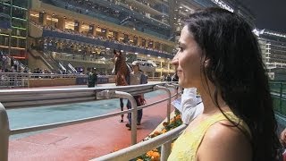 Horse Racing at the Hong Kong Jockey Club Happy Valley [upl. by Aloibaf]