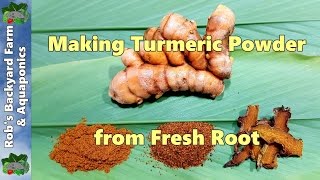 How to Make Turmeric Powder from Fresh Home Grown Root [upl. by Eekorehc436]