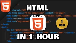 Learn HTML in 1 hour 🌎 [upl. by Zack643]