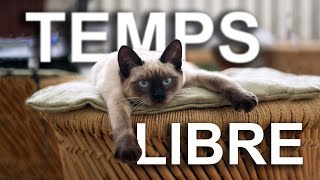 TEMPS LIBRE  PAROLE DE CHAT [upl. by Lyris]