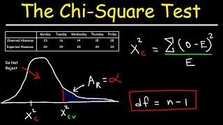 Chi Square Test [upl. by Arutak]