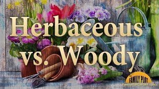 Herbaceous Versus Woody  Garden Glossary [upl. by Dlawso]