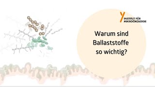 Warum sind Ballaststoffe so wichtig [upl. by Leasim]