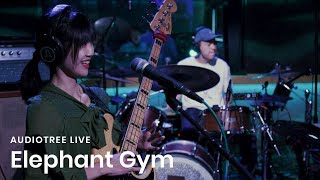 Elephant Gym on Audiotree Live Full Session [upl. by Hanafee]