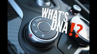 The DNA Driving Modes In The Alfa Romeo Giulia EXPLAINED [upl. by Wickman82]