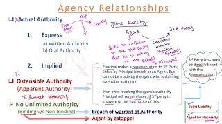 Contract of Agency  Law  Lecture 14 [upl. by Aneej]