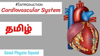 Physiology  Introduction to the Cardiovascular System in Tamil Lecture [upl. by Connie]