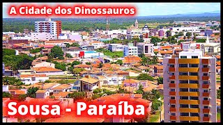 CONHEÇAM SOUSA A CIDADE DOS DINOSSAUROS NA PARAÍBA [upl. by Specht395]