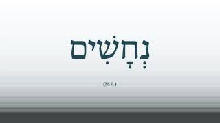 05  Basic Biblical Hebrew Vocabulary [upl. by Sudnor546]