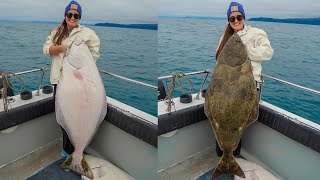 MASSIVE Halibuts Alaska Fishing Catch Clean amp Cook [upl. by Nolyak]