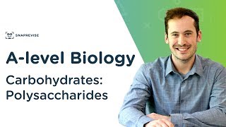 Carbohydrates Polysaccharides  Alevel Biology  OCR AQA Edexcel [upl. by Rosana]