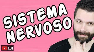 SISTEMA NERVOSO  FISIOLOGIA  Aula  Biologia com Samuel Cunha [upl. by Eimyaj514]