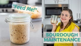 Sourdough Starter Maintenance  Sourdough for Beginners [upl. by Violet]