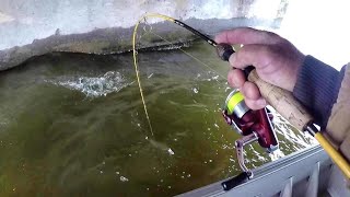 Crappie Fishing Bridges With Live Minnows [upl. by Ecilegna]