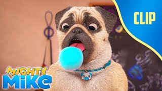 🫧 Bubble Dog 🐶 Mighty Mike  Cartoon Animation for Kids [upl. by Jeni608]