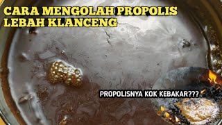 CARA MENGOLAH PROPOLIS LEBAH KLANCENG [upl. by Blain]