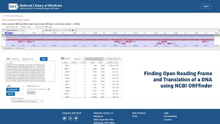 Finding Open Reading Frame and Translation of a DNA using ORFfinder [upl. by Legna860]