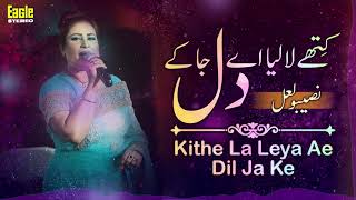 Kithe La Leya Ae Dil Ja Ke  Naseebo Lal  Eagle Stereo  HD Video [upl. by Akilaz539]