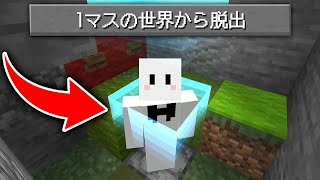 1マスから始まる世界からの脱出【マインクラフト】 [upl. by Benzel]